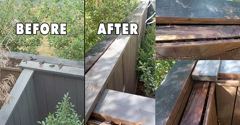 Critter waste cleanup before and after on top of a backyard fence. Work performed by Scoop le Poop.