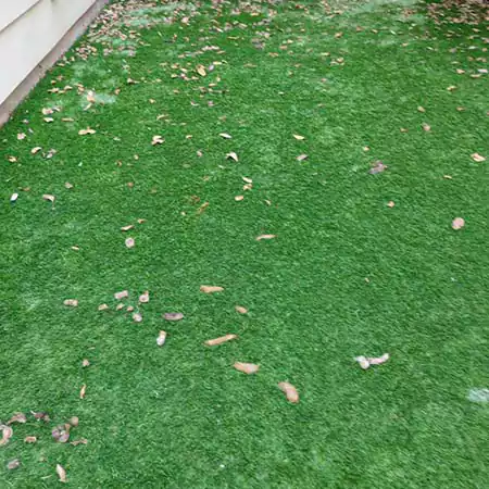 Yard before initial cleaning by Scoop le Poop showing a lot of pet waste on green grass