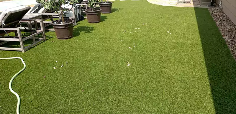 Yard with green turf and piles of pet waste before Scoop le Poop weekly service visit