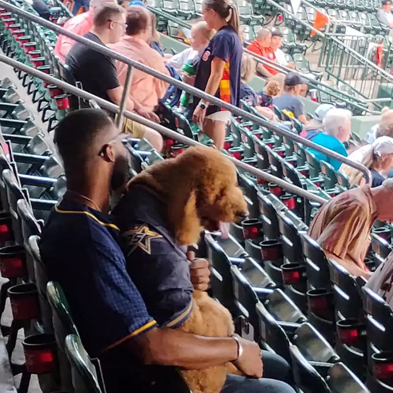 A man and his dog sitting in the stands at the annual Astros Dog Day event