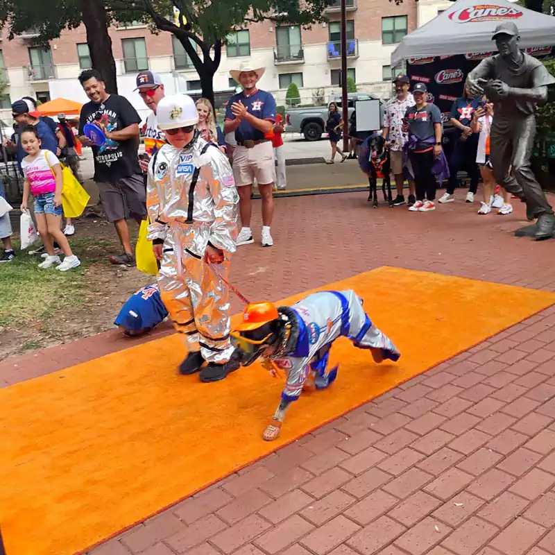 Patron with their dog dressed up in silver astronaut gear and team colors walking the pup parade at the annual Astros Dog Days event.