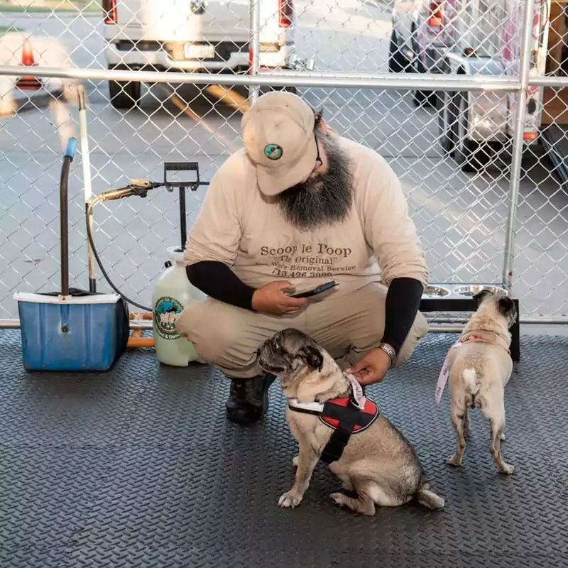 A Scoop le Poop pet waste removal specialists taking a break with a few of the cute pug dogs as the Annual PugHearts Rescue Gala.