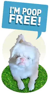 I’m poop free! Scoop le Poop - cute, white dog with speech bubble says "I'm poop free"
