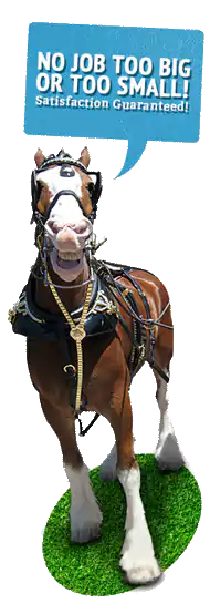 A horse on grass with a speech bubble saying, "No job too big or too small" for Scoop le Poop horse waste removal services.